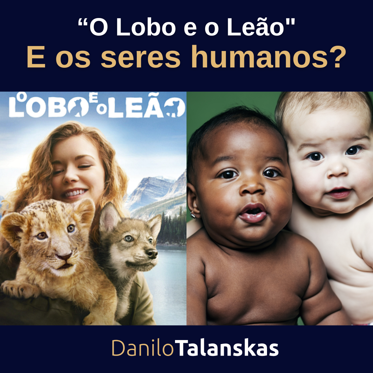 3o-lobo-e-o-leo